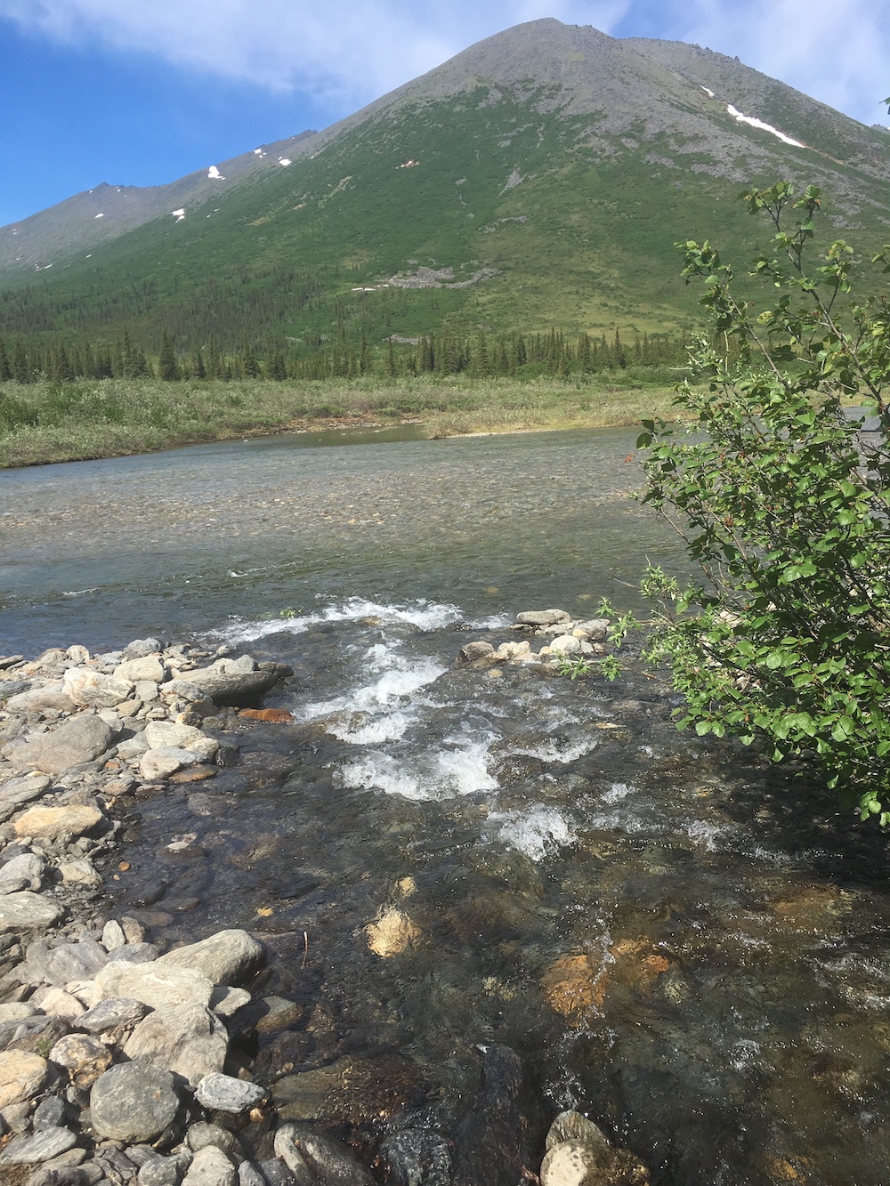 A clear stream flows into a clear river with mountains in the background.