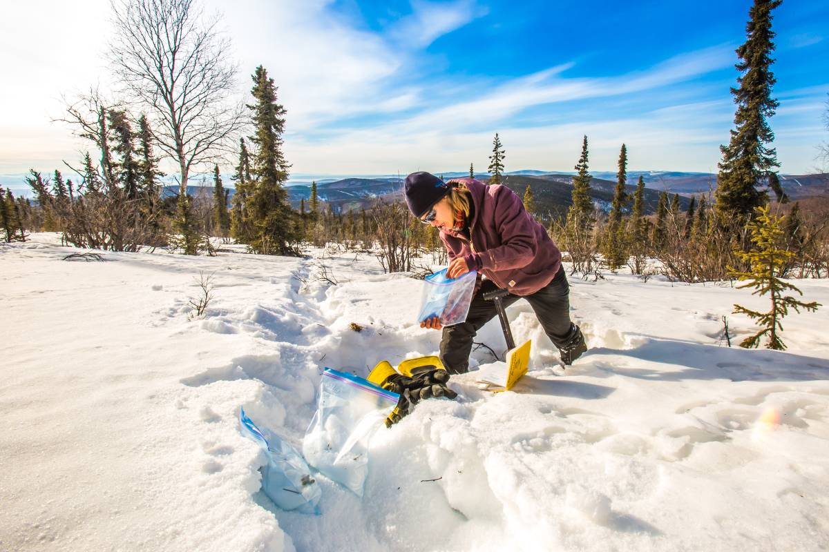 A 51风流官网 research assistant professor collecting snow samples.